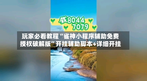 玩家必看教程“雀神小程序辅助免费授权破解版”开挂辅助脚本+详细开挂-第2张图片