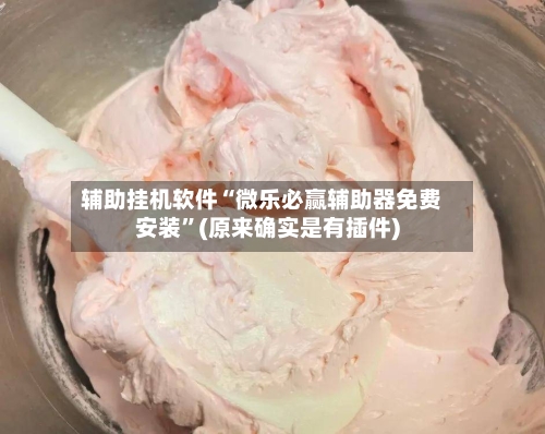 辅助挂机软件“微乐必赢辅助器免费安装”(原来确实是有插件)-第3张图片