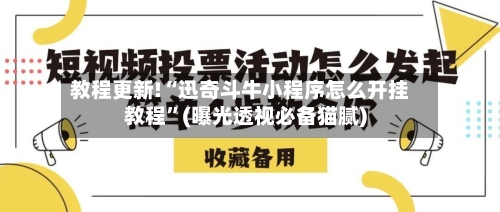 教程更新!“迅奇斗牛小程序怎么开挂教程”(曝光透视必备猫腻)-第2张图片