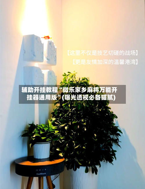 辅助开挂教程“微乐家乡麻将万能开挂器通用版”(曝光透视必备猫腻)-第2张图片