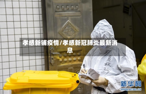 孝感新铺疫情/孝感新冠肺炎最新消息