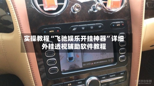 实操教程“飞驰娱乐开挂神器”详细外挂透视辅助软件教程-第3张图片