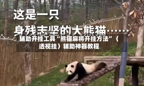 辅助开挂工具“熊猫麻将开挂方法”（透视挂）辅助神器教程-第2张图片