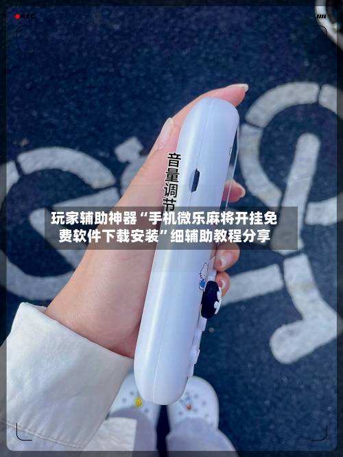 玩家辅助神器“手机微乐麻将开挂免费软件下载安装”细辅助教程分享-第2张图片