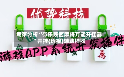 专家分析“微乐陕西麻将万能开挂器”开挂(透视)辅助神器-第2张图片