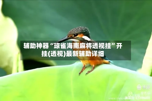 辅助神器“琼雀海南麻将透视挂”开挂(透视)最新辅助详细-第3张图片