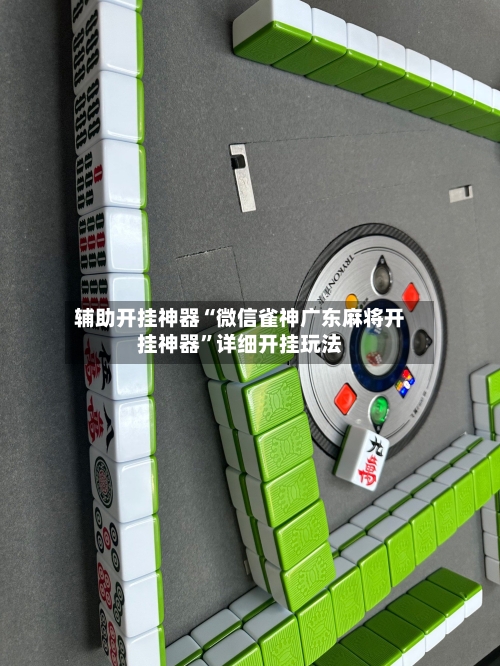 辅助开挂神器“微信雀神广东麻将开挂神器”详细开挂玩法-第2张图片