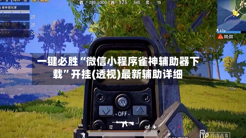 一键必胜“微信小程序雀神辅助器下载	”开挂(透视)最新辅助详细-第2张图片