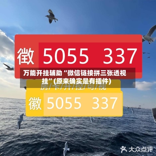 万能开挂辅助“微信链接拼三张透视挂”(原来确实是有插件)-第2张图片