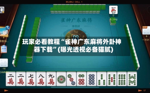 玩家必看教程“雀神广东麻将外卦神器下载	”(曝光透视必备猫腻)-第2张图片