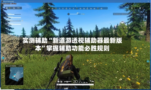 实测辅助“新道游透视辅助器最新版本	”掌握辅助功能必胜规则-第2张图片
