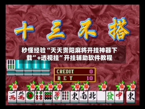 秒懂经验“天天贵阳麻将开挂神器下载	”+透视挂”开挂辅助软件教程-第2张图片