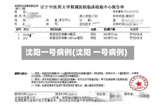 沈阳一号病例(沈阳 一号病例)