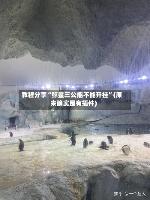 教程分享“鲸鲨三公能不能开挂	”(原来确实是有插件)-第2张图片