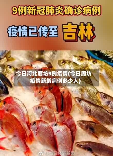 今日河北廊坊9例疫情(今日廊坊疫情新增病例多少人)