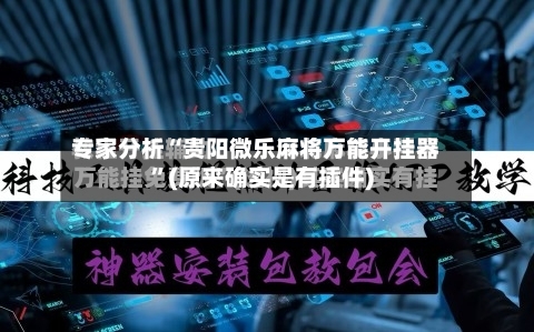 专家分析“贵阳微乐麻将万能开挂器”(原来确实是有插件)-第2张图片