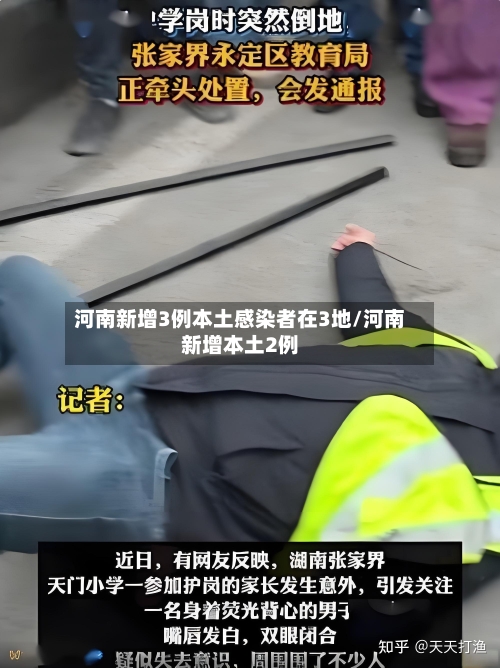 河南新增3例本土感染者在3地/河南新增本土2例-第3张图片