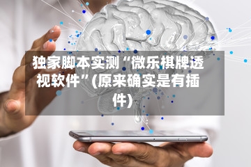 独家脚本实测“微乐棋牌透视软件”(原来确实是有插件)-第3张图片