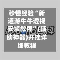 秒懂经验“新道游牛牛透视安装教程”(辅助神器)开挂详细教程-第2张图片