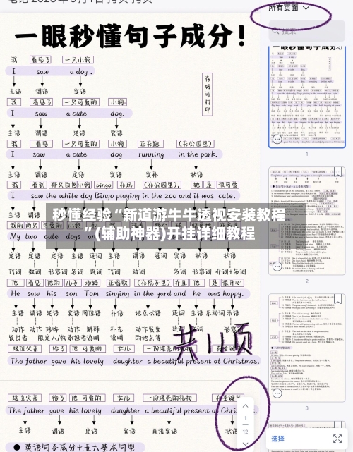 秒懂经验“新道游牛牛透视安装教程	”(辅助神器)开挂详细教程-第3张图片