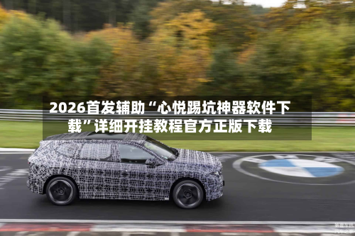 2026首发辅助“心悦踢坑神器软件下载	”详细开挂教程官方正版下载-第2张图片