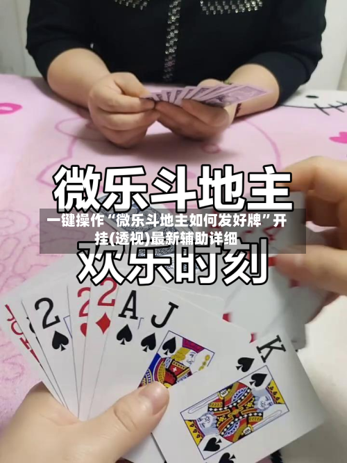 一键操作“微乐斗地主如何发好牌”开挂(透视)最新辅助详细-第2张图片