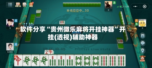 软件分享“贵州微乐麻将开挂神器	”开挂(透视)辅助神器-第3张图片