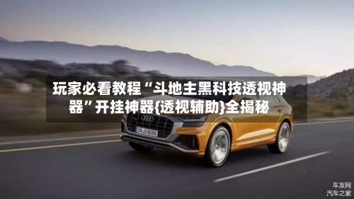 玩家必看教程“斗地主黑科技透视神器”开挂神器{透视辅助}全揭秘-第2张图片