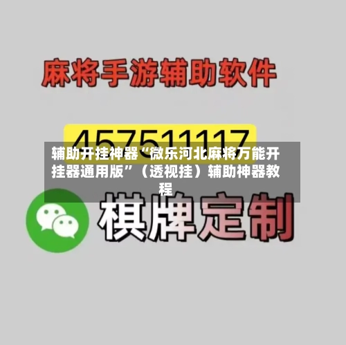 辅助开挂神器“微乐河北麻将万能开挂器通用版”（透视挂）辅助神器教程-第3张图片