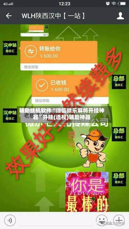 辅助挂机软件“微信微乐麻将开挂神器”开挂(透视)辅助神器-第3张图片