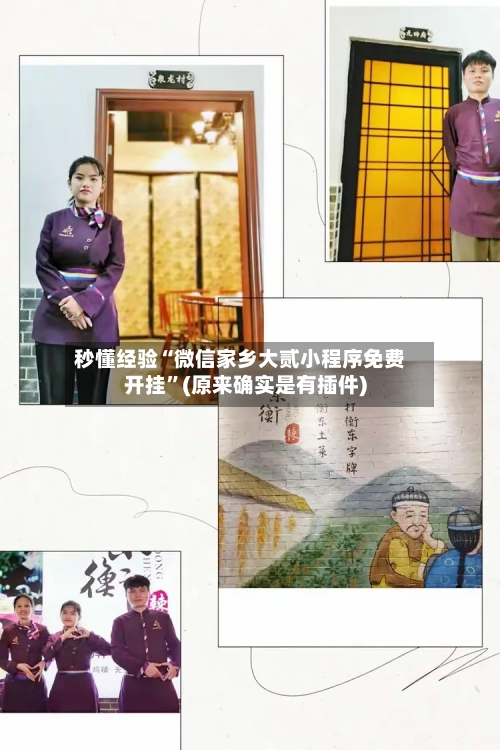 秒懂经验“微信家乡大贰小程序免费开挂”(原来确实是有插件)-第2张图片