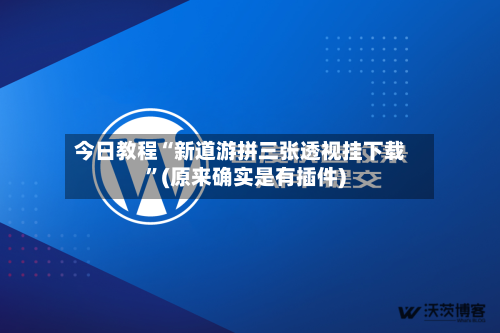 今日教程“新道游拼三张透视挂下载	”(原来确实是有插件)-第2张图片