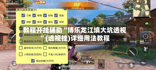 教程开挂辅助“博乐龙江填大坑透视	”(透视挂)详细用法教程-第2张图片