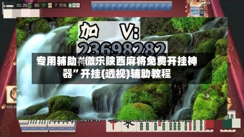 专用辅助“微乐陕西麻将免费开挂神器	”开挂(透视)辅助教程-第2张图片