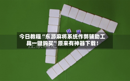 今日教程“东游麻将系统作弊辅助工具一键购买	”原来有神器下载！-第3张图片
