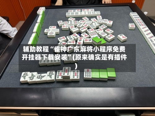 辅助教程“雀神广东麻将小程序免费开挂器下载安装	”(原来确实是有插件)-第3张图片