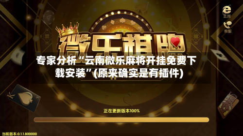 专家分析“云南微乐麻将开挂免费下载安装	”(原来确实是有插件)-第1张图片