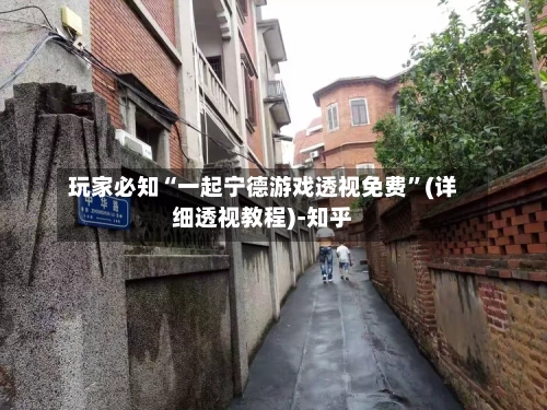 玩家必知“一起宁德游戏透视免费”(详细透视教程)-知乎-第1张图片