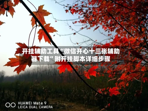 开挂辅助工具“微信开心十三张辅助器下载”附开挂脚本详细步骤-第2张图片