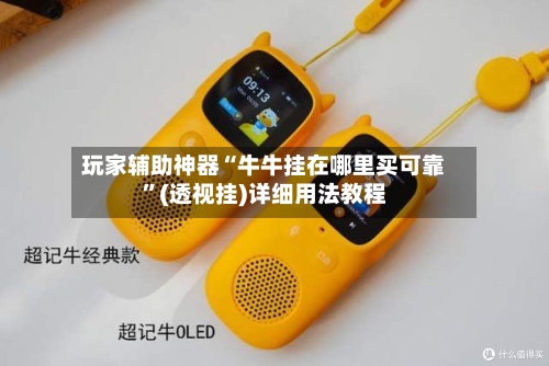 玩家辅助神器“牛牛挂在哪里买可靠”(透视挂)详细用法教程-第2张图片