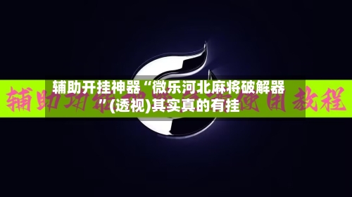 辅助开挂神器“微乐河北麻将破解器”(透视)其实真的有挂-第3张图片