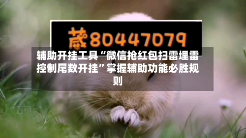 辅助开挂工具“微信抢红包扫雷埋雷控制尾数开挂	”掌握辅助功能必胜规则-第2张图片