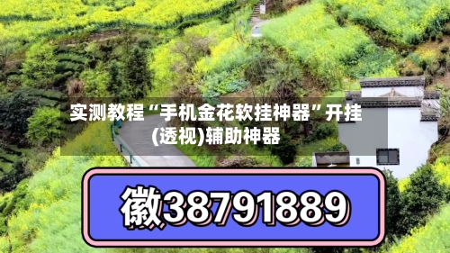 实测教程“手机金花软挂神器”开挂(透视)辅助神器-第3张图片