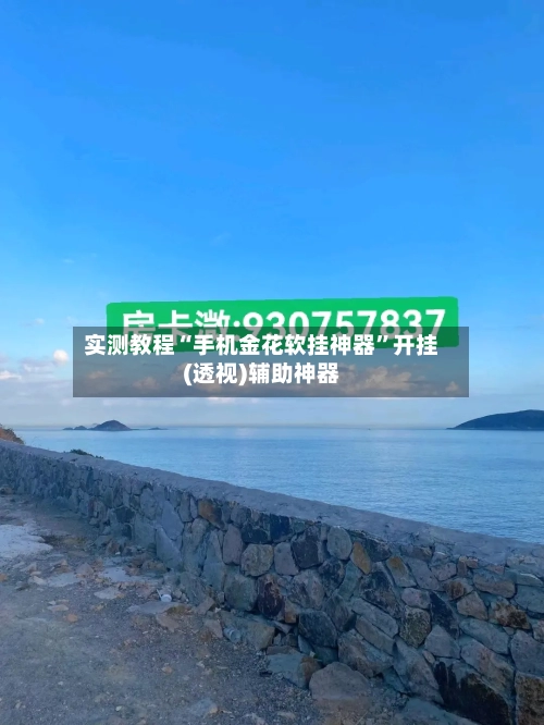 实测教程“手机金花软挂神器”开挂(透视)辅助神器-第2张图片