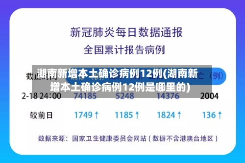 湖南新增本土确诊病例12例(湖南新增本土确诊病例12例是哪里的)-第2张图片