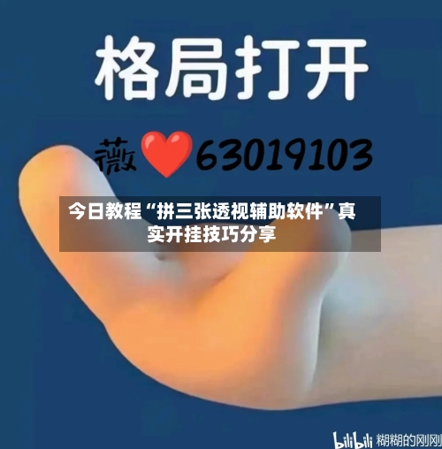 今日教程“拼三张透视辅助软件	”真实开挂技巧分享-第2张图片