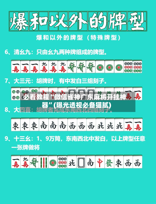必看教程“微信雀神广东麻将开挂神器”(曝光透视必备猫腻)-第3张图片