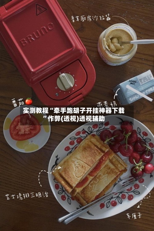 实测教程“牵手跑胡子开挂神器下载”作弊(透视)透视辅助-第3张图片