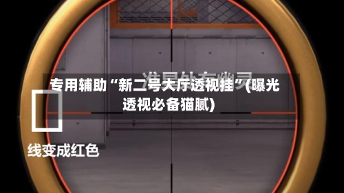 专用辅助“新二号大厅透视挂	”(曝光透视必备猫腻)-第2张图片