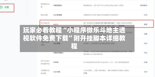 玩家必看教程“小程序微乐斗地主透视软件免费下载”附开挂脚本详细教程-第2张图片